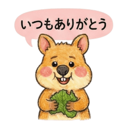 Quokka Wallaby Messages of Kindness