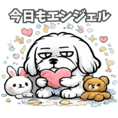 マルチーズLOVEトーク