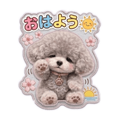 ranan_20260301205640