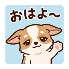 Rei_20260228011344