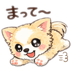 Daily life of Yurukawa Pome5