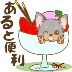 WANKOBIYORI(chihuahua)10