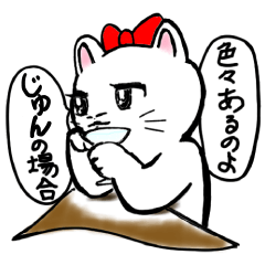 The white cat named Jun