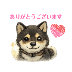 Takae_20260228163902