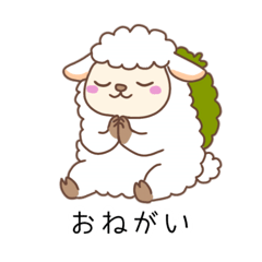momo*_20260228185057