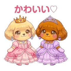 Cute Toy Poodle Sisters Princesses