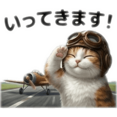 THE CAT who loves classic airplanes