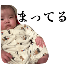 misae_20260227102323