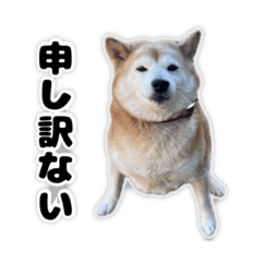 kmk_20260228224709