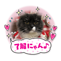 asuka_20260301012501