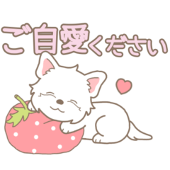 やさしいウエスティ『春スタンプ』2