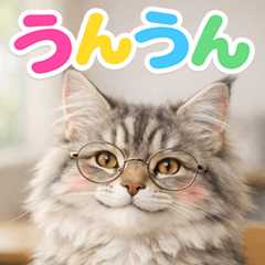 とびだす★メインクーン★日常