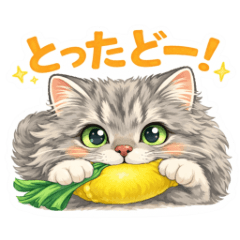 Charu's Stickers - Renewal