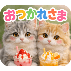 とびだす★ミヌエット★日常