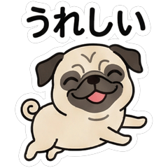 Expressive Pug: Daily Delights