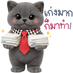 แมวเทา น่ารัก ไว้ใช้ทำงาน 3_15