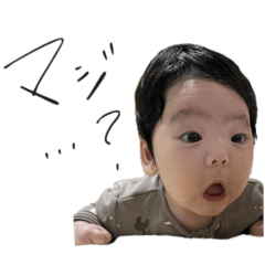 Shisu_2026030123081