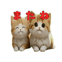 My cat moves (funny animation version)