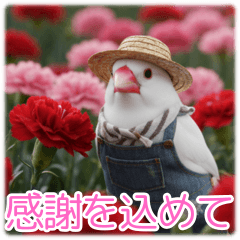 Surreal & Real Kigurumi Java Sparrow
