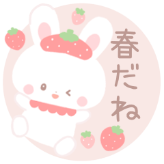 Cute rabbit spring special sticker