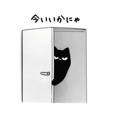 Office MAIGODOG_20260301164714