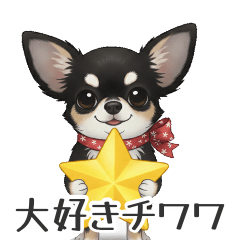 20260301dog5