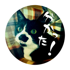 kuranosuke_20260301220950