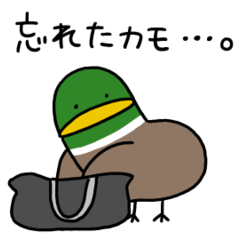 【動く】カモかも。