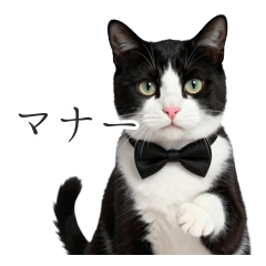 Butler Cat's Elegant Spring