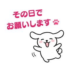 Polite White Dog: Office & Daily Life