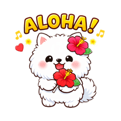 Pomeranian in Hawaii