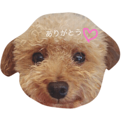 reon stamp!