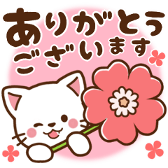 白貓 ♡ 每日必備簡約風