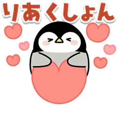 Baby of a gentle penguin Reactions