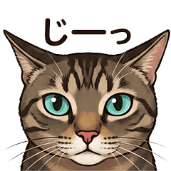 tetora4
