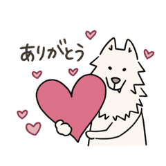 Yocco_20260302055238