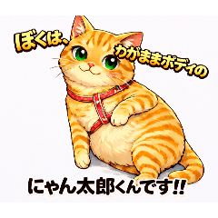 shiitake_20260302164609