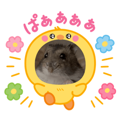 Sayuri_20260302164834