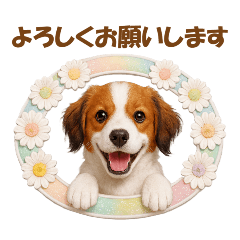 かわいいコイケルの犬スタンプ2