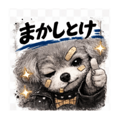 PUCCHI_20260302130448