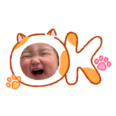 tomotomo_20260302131315