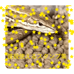 koudai_20260302171404