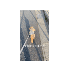 Mie_20260302171635