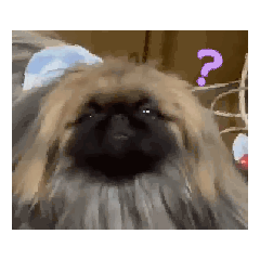 akaringo_20260302183642