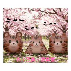 matamata1424_20260302220737