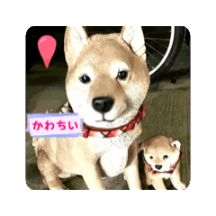 masa_20260303093702