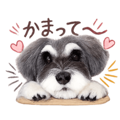 aoaoaowan_20260302174917