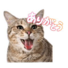 KenC_20260302213449
