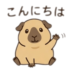 runa_20260302131800