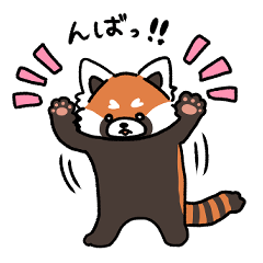 ぼく、レッサーパンダ